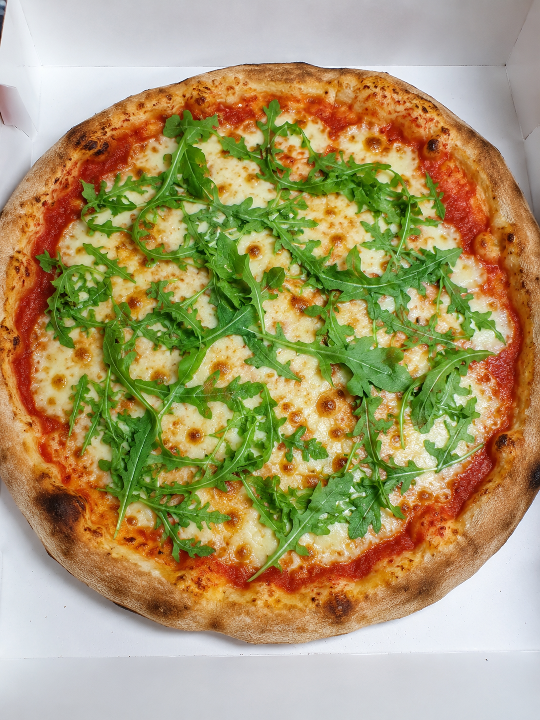 Rucola